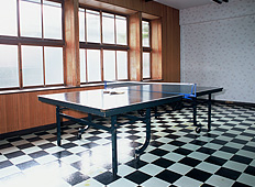 Table tennis court