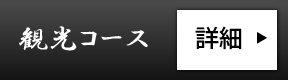 観光コース